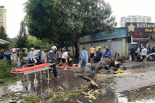 Chồng nạn nhân bị cây đè tử vong ở Hà Nội: 'Tôi dặn vợ nếu mưa to quá thì mai hãy về'