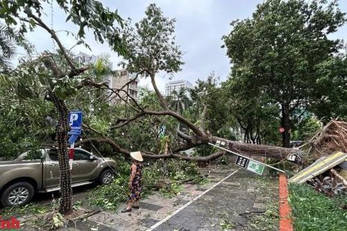 Hà Nội: Cảnh tan hoang trên nhiều tuyến phố sau khi bão số 3 đi qua