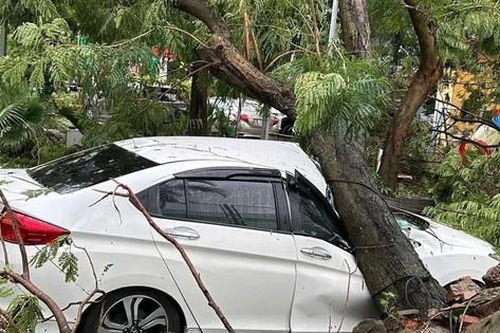 Hình ảnh cây xanh bật gốc, đè bẹp ô tô ở khu chung cư Hà Nội khi bão số 3 Yagi càn quét