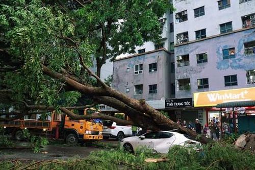 Gần 200 người thương vong do bão số 3