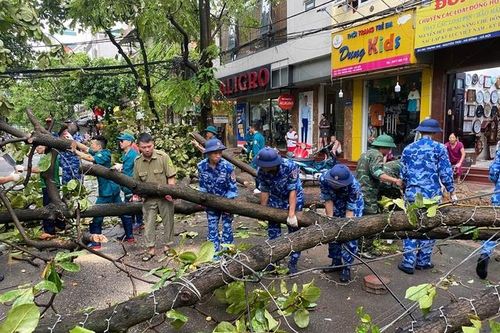 Tàu điện, xe buýt tại Hà Nội dự kiến vận hành trở lại vào chiều nay (8/9)