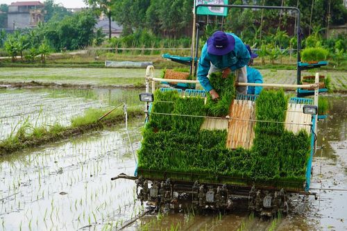 Cơ giới hóa sản xuất nông nghiệp: Còn không ít rào cản