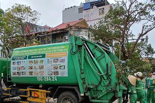 Hải Phòng: 1.500 cán bộ môi trường dồn tổng lực dọn cây đổ sau bão