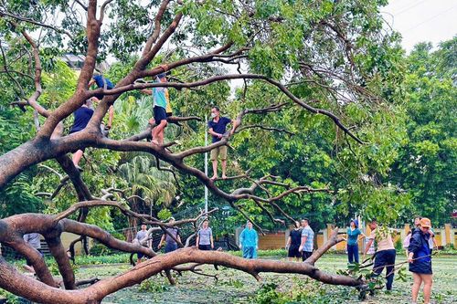 Học sinh 39 trường ở Hà Nội chưa thể đi học sau bão Yagi