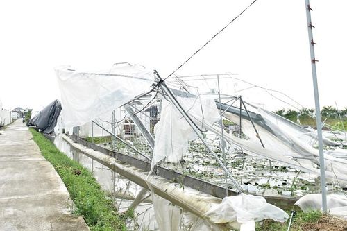 Phó Thủ tướng Lê Thành Long chỉ đạo khắc phục sau bão tại Hải Dương
