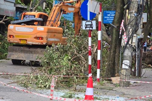 Tất cả đang hối hả dồn lực khôi phục sau bão để ổn định cuộc sống