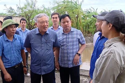 Thái Bình đã tập trung giảm thiểu thiệt hại về lúa và hoa màu do cơn bão số 3 gây ra