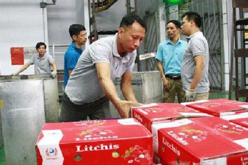 Gỡ khó cho chiếu xạ kiểm dịch hoa quả xuất khẩu