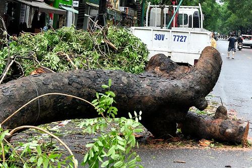Hỗ trợ người dân sửa chữa nhà ở, khắc phục thiệt hại do bão