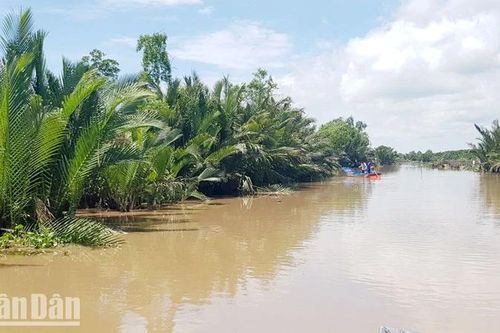 Kiên Giang: Thêm một cá nhân bị xử phạt 500 triệu đồng do chiếm đất đầm Đông Hồ