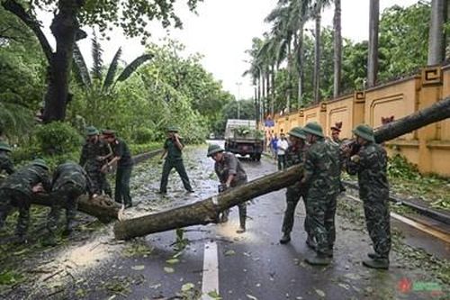 Hơn 25.000 cây xanh ở Hà Nội gãy đổ do bão số 3