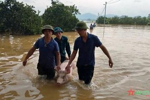 Lực lượng vũ trang tỉnh Tuyên Quang: Giúp nhân dân khắc phục hậu quả bão số 3