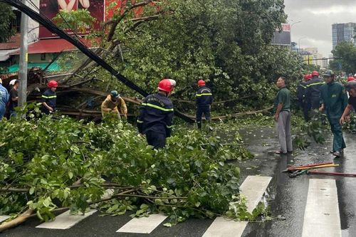 TPHCM cử lực lượng hỗ trợ Hà Nội, Hải Phòng khắc phục hậu quả bão số 3