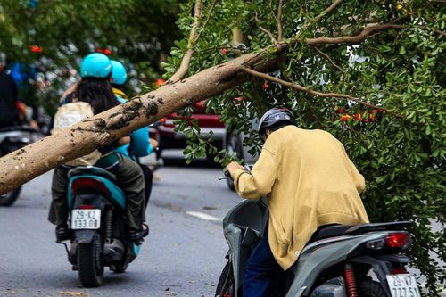 Người Hà Nội 'tìm đường' đi làm đầu tuần sau bão số 3
