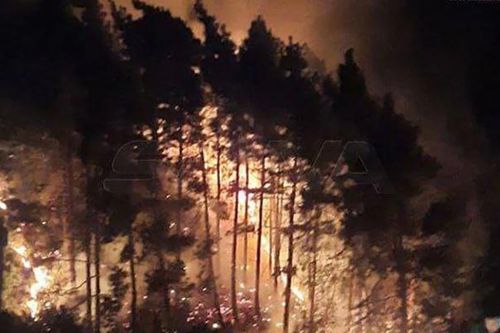 Israel không kích Syria, 5 người thiệt mạng và 19 người bị thương