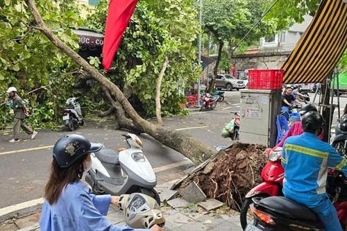 Ô tô đi đường vòng, xe máy lao lên vỉa hè khi phố Hà Nội vẫn la liệt cây đổ gãy sau bão