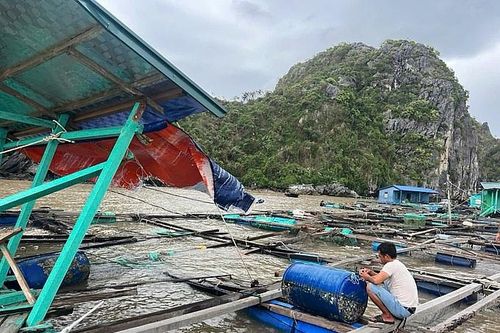 Ngành thủy sản miền Bắc bị tàn phá nặng nề do bão số 3