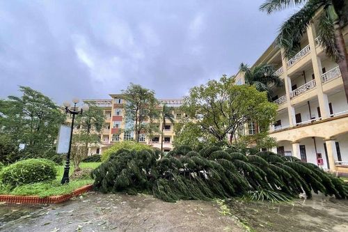 Hôm nay, học sinh 39 trường ở Hà Nội chưa thể đi học sau bão Yagi