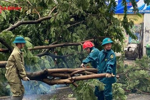 Bão Yagi làm 26 người chết, 247 người bị thương