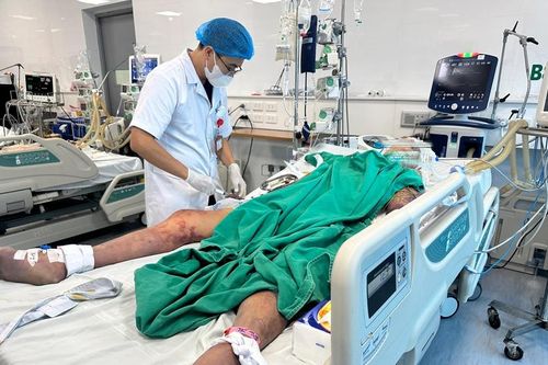 Ăn tiết canh 'lấy may', nam thanh niên suy đa tạng vì liên cầu lợn