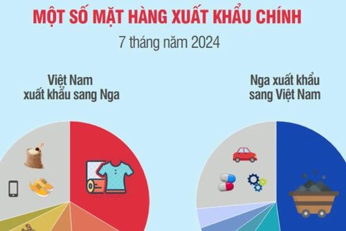Quan hệ thương mại giữa Việt Nam và Liên bang Nga phát triển mạnh mẽ
