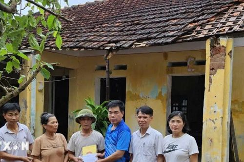 Hà Nội: Mặt trận Tổ quốc các cấp hỗ trợ người dân bị thiệt hại sau bão số 3