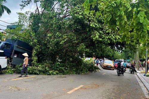Vừa đi vừa lo những cây xanh nghiêng ngả, chờ đổ sau bão số 3