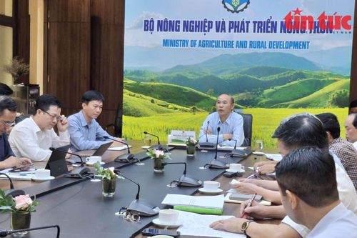 Ngành Nông nghiệp triển khai các giải pháp khắc phục sản xuất sau cơn bão số 3