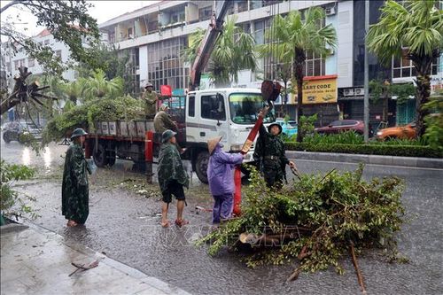 Hạ Long: Phát động chiến dịch cao điểm khắc phục hậu quả bão số 3