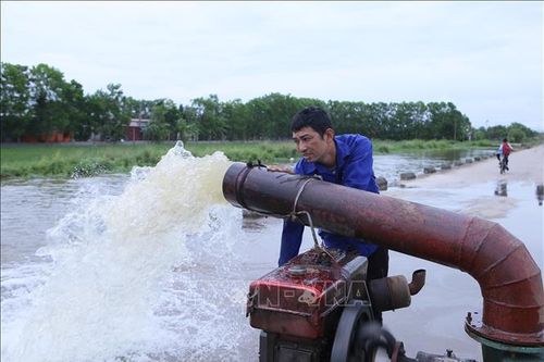 Nam Định: Tập trung bơm nước cứu lúa, hoa màu bị ngập