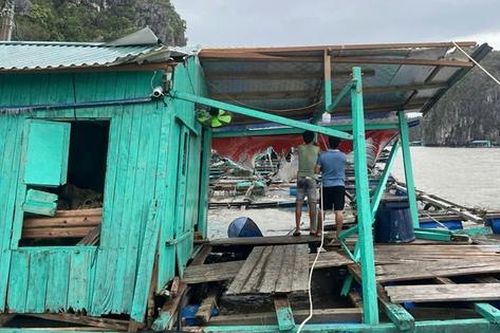Đoàn tình nguyện viên 150 người giúp Hải Phòng giúp khắc phục hậu quả bão