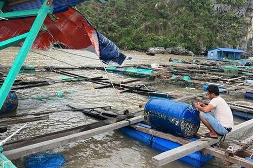 Đảo Cát Bà (Hải Phòng) vẫn bị cô lập sau bão số 3