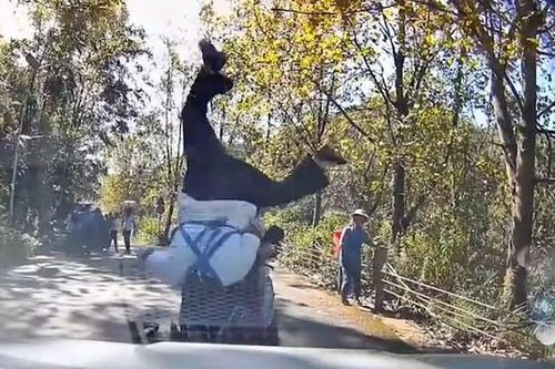 Clip: Tông vào đầu Mercedes, người phụ nữ lộn ngược trên không