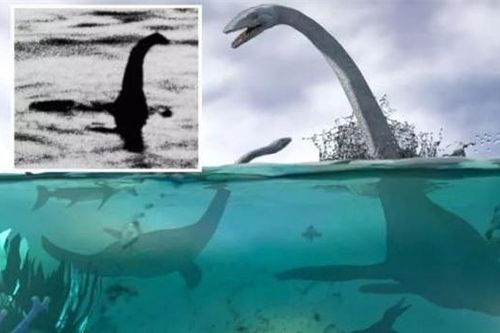 Bí ẩn về quái vật hồ Loch Ness: Được đồn đại hơn 1.500 năm! Sự thật đằng sau nó là gì?