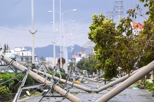 Hàng dài cột điện tại Cẩm Phả gãy đổ sau cơn bão số 3