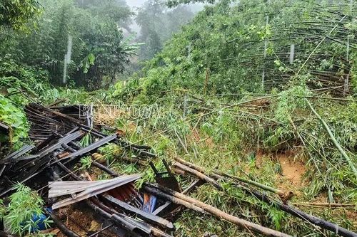 Lào Cai: Sạt lở đất vào 4 hộ dân tại huyện Bát Xát, 7 người mất tích