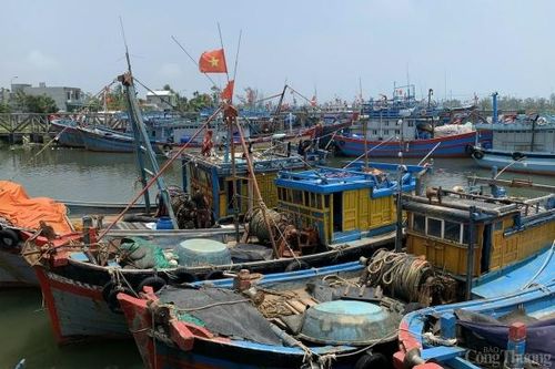 3 tàu cá Quảng Ngãi tránh trú bão số 3 tại tỉnh Quảng Ninh bị sóng đánh chìm