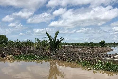 Kiên Giang: Lấn chiếm gần 24 ha đầm Đông Hồ, 3 người bị xử phạt 1,5 tỷ đồng