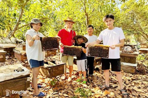 Khi hợp tác xã tham gia làm du lịch