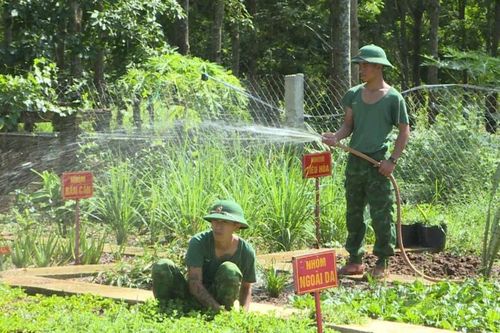 Đồn Biên phòng Ia Púch tích cực tăng gia sản xuất