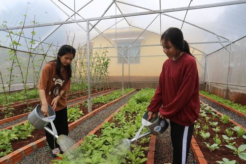Nhà trường xanh cho một tương lai xanh