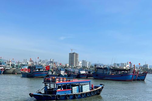 Nguy cơ tàu cá nằm bờ