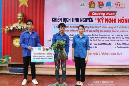Chiến dịch 'Kỳ nghỉ hồng': Phát huy sức trẻ vì cộng đồng
