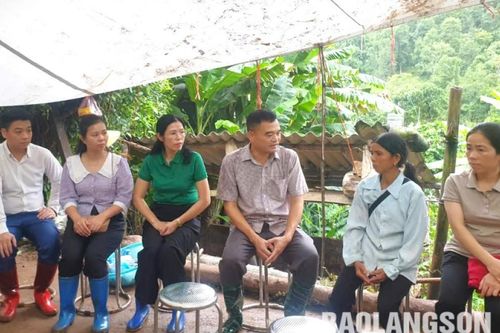 Chi Lăng: Hội Nông dân tỉnh hỗ trợ hội viên nông dân bị thiệt hại do bão số 3