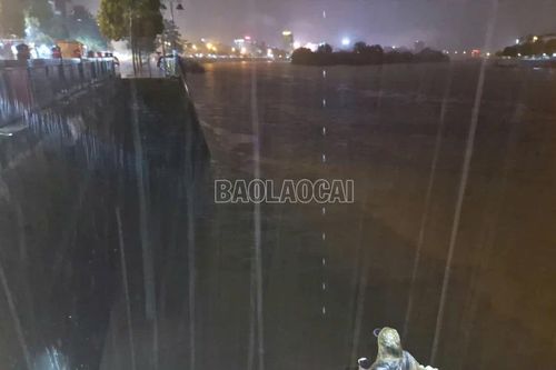 Mực nước sông Hồng lên nhanh trong đêm về sáng ngày 9/9/2024