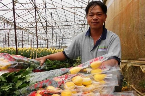 Đổi trắng thành xanh - hành trình bao lâu nữa? (Bài 2)