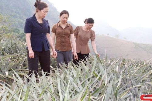 Cùng nông dân nâng cao giá trị các sản phẩm nông sản