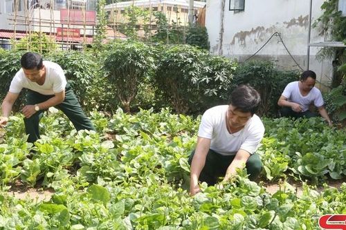 Đẩy mạnh tăng gia sản xuất trong đơn vị