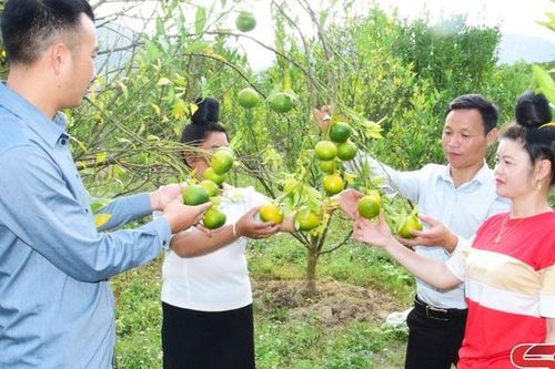 Sốp Cộp đa dạng các mô hình 'Dân vận khéo'