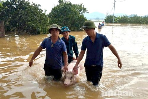 Huy động trên 200 chiến sỹ giúp dân khắc phục hậu quả sau bão
